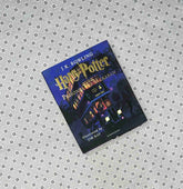 harry potter and the prisoner of azkaban the harry potter series book 3 jim kay illustrated edition by j k rowling